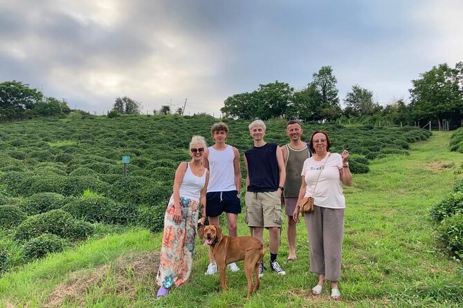 1,5 Hours Tea House and Tea Garden Trip in Ozurgeti Georgia - Why this tea stop matters in Guria