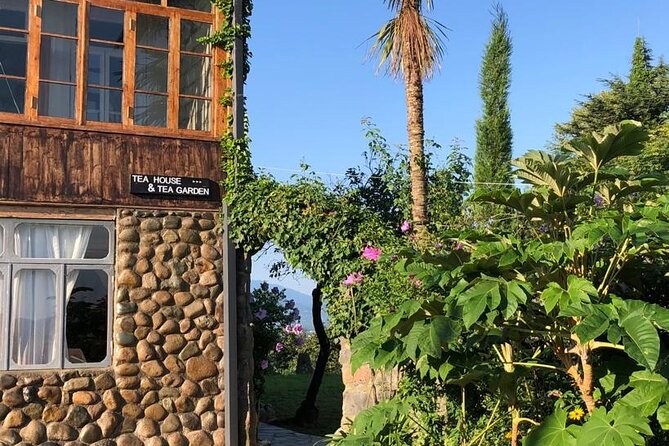 1,5 Hours Tea House and Tea Garden Trip in Ozurgeti Georgia - Who will enjoy this most