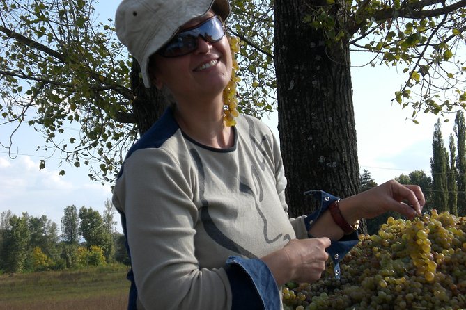 2-Day Private Wine Tour to Kakheti from Tbilisi - Signagi: wine with a view of the old town walls