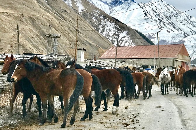 2 Days Private Tour to Kazbegi and Juta Village with Trekking - From Tbilisi to the Georgian mountains