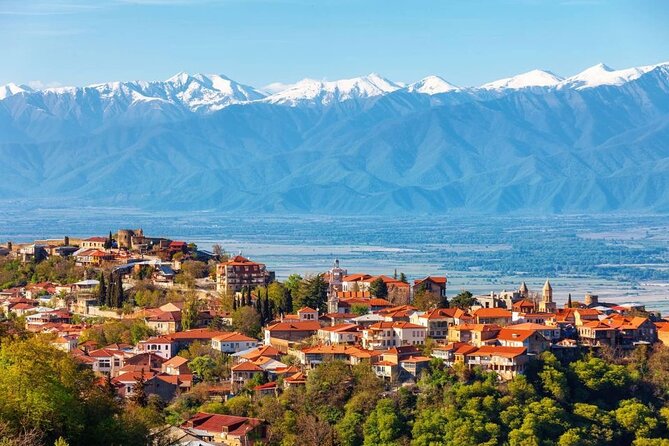 2 Full Day Private Tours from Tbilisi - Bodbe Monastery and the Story of St. Nino
