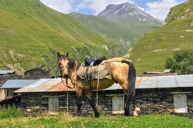 3 Day Tusheti Tour Explore Unspoiled Wilderness - Small details that make the experience better