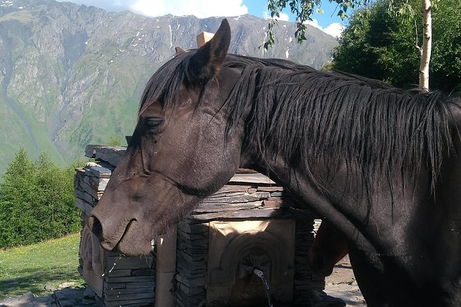 3 Days in Georgia: Private Tour with Wine, Mountains & Culture - Should you book it?