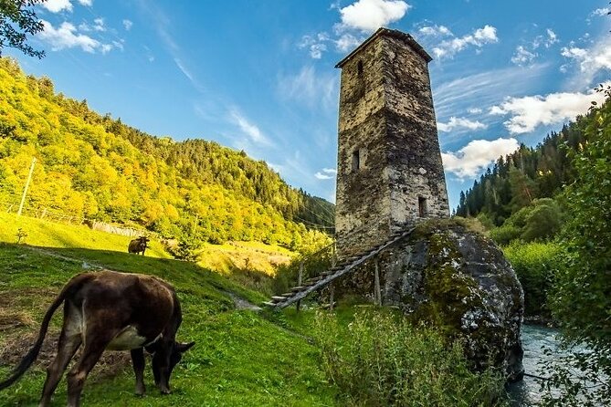 4-Day Tour in Svaneti - Mestia/Ushguli - What the private format changes
