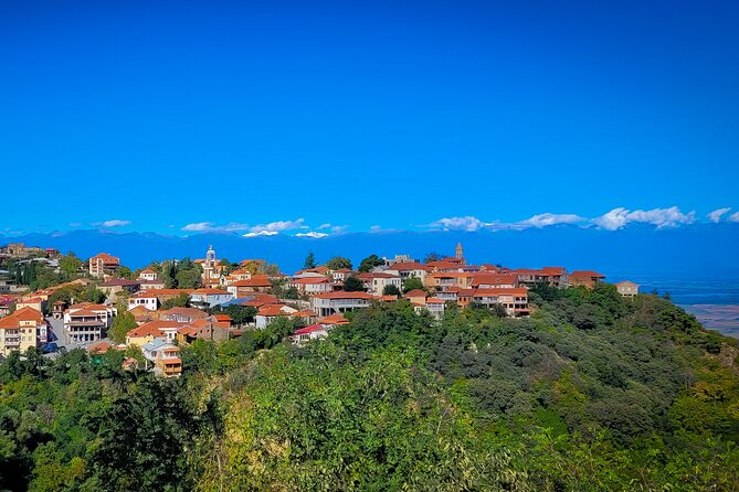 A day tour to Kakheti region/wine/culture/history and gastro tour - Bodbe Monastery adds a quieter historical stop
