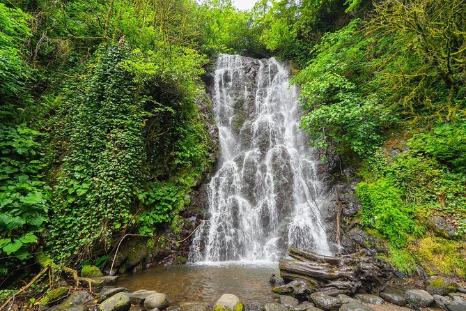 Adjarian Mountains Waterfalls Wine Tour Best views from Batumi Kobuleti - Key points to know before you book