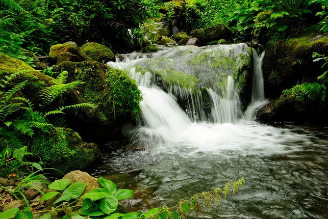 Adjarian Mountains Waterfalls Wine Tour Best views from Batumi Kobuleti - Who will get the most from this day