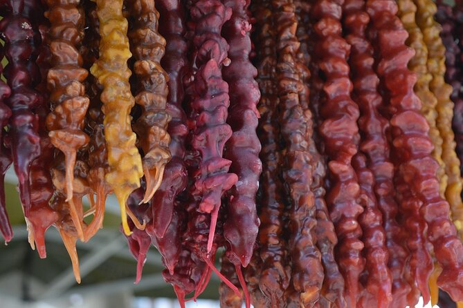 Adventure in Kakheti - Bodbe, Sighnaghi, wine tasting (Private Experience) - KTW wine factory and the first taste of Kakheti