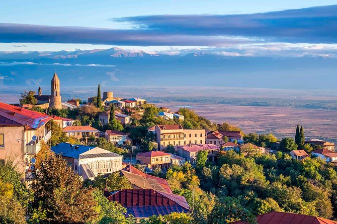 Adventure in Kakheti - Bodbe, Sighnaghi, wine tasting (Private Experience) - Who will get the most from this Kakheti day