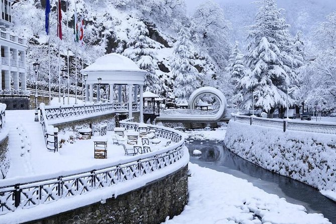 Bakuriani-Borjomi full day trip - A private day with David