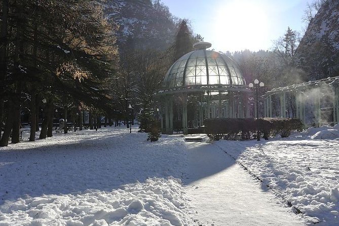 Bakuriani ski resort and the legendary Borjomi (Group Tour) - Bakuriani: snow sports, pine trees, and free time