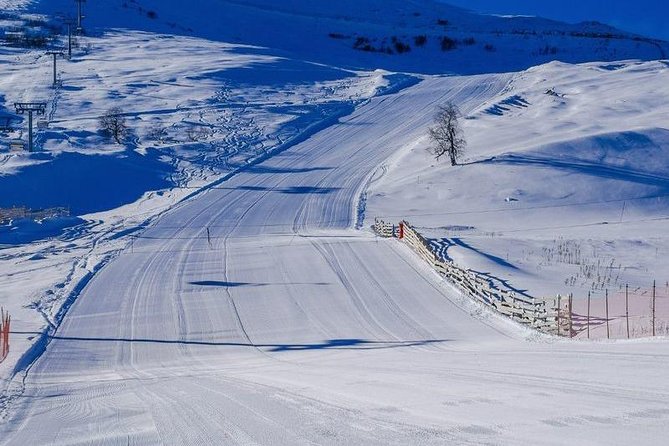 Bakuriani ski resort and the legendary Borjomi (Group Tour) - Who should book this day trip