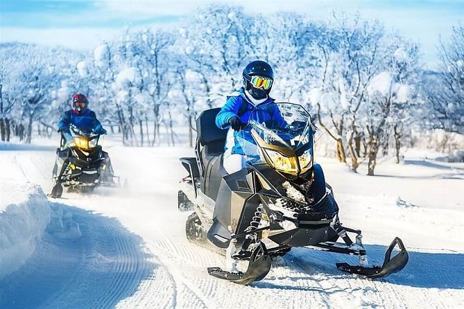 Bakuriani Ski Resort Private Day Tour from Tbilisi Snow Adventure - Three Hours in Bakuriani