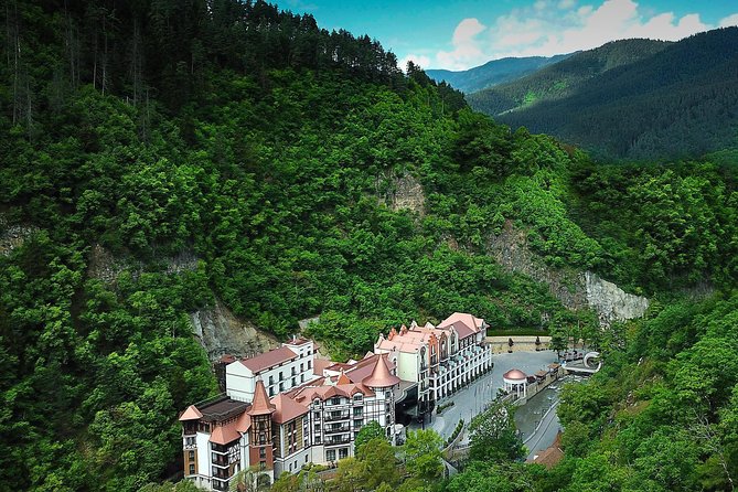 Bakuriani Ski Resort Private Day Tour from Tbilisi Snow Adventure - Should You Book It?