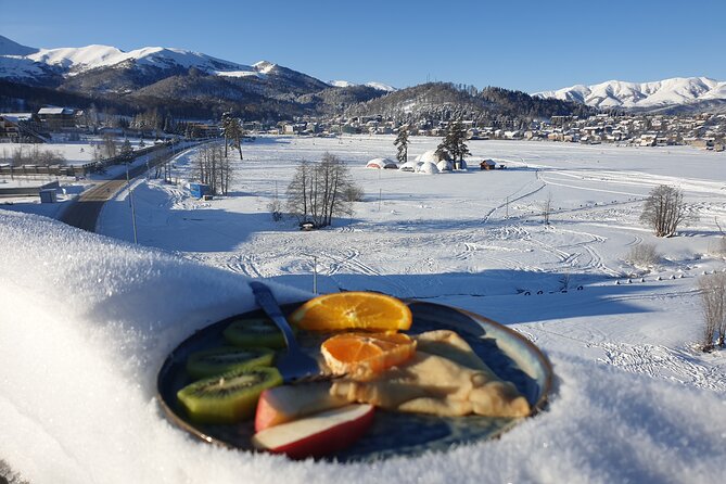 Bakuriani Snow Tour from Kutaisi - Snowmobile riding and a short winter sampler