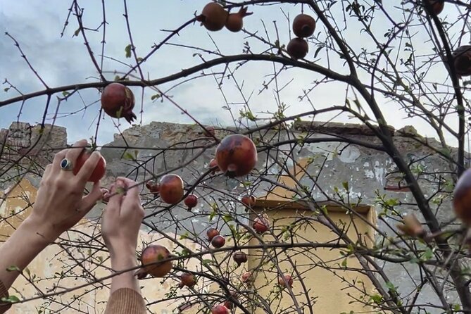 Break Bread with Kutaisi Locals - Is $53.50 a fair price?