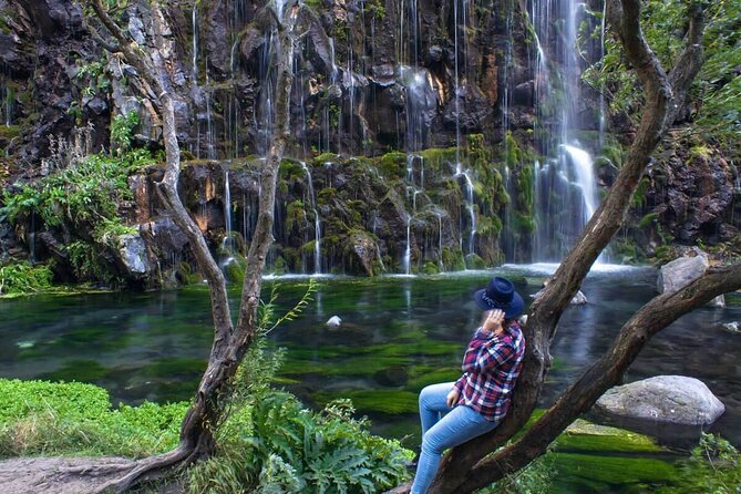 Dashbashi Canyon. The village of Asureti and Didgori monument. - Key points before you book