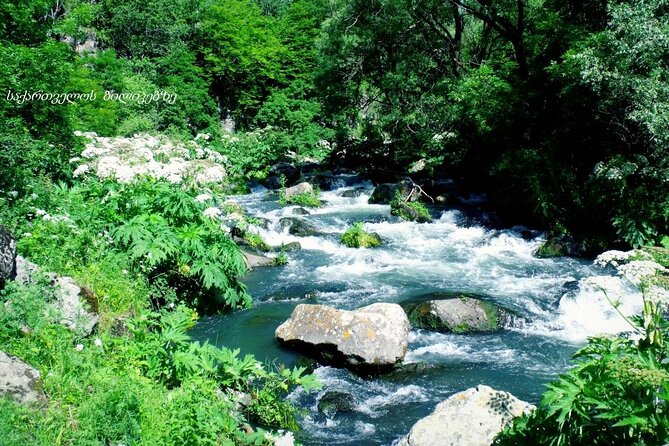 Dashbashi Canyon. The village of Asureti and Didgori monument. - Lake Algeti adds a quiet pause