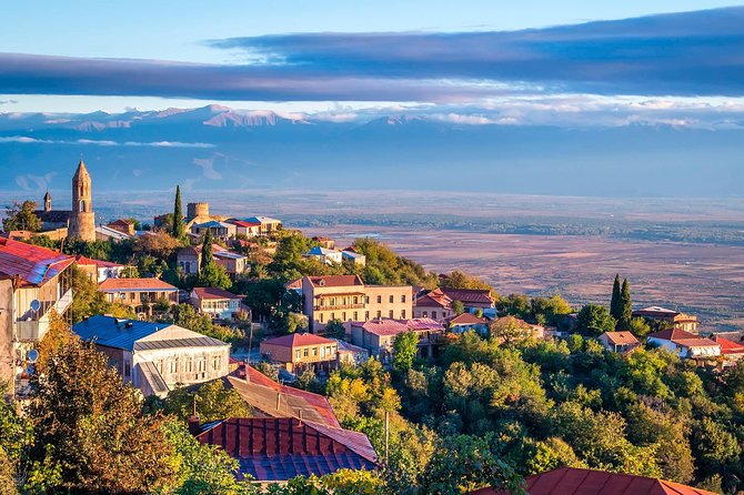 David Gareja, Kakheti and Signagi city of love One Day Tour - Timing, comfort, and the real pace