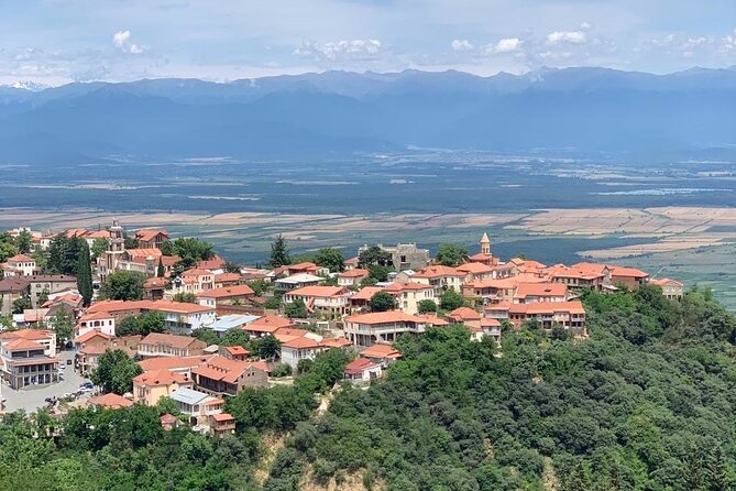 Day tour to Kakheti wine region Georgia - Churchkhela, pelamushi, and the late meal question