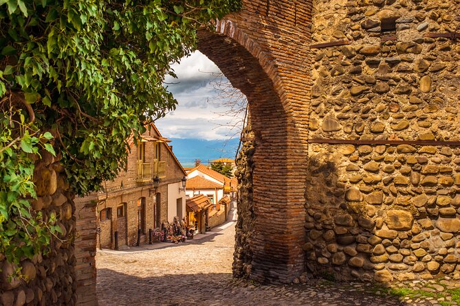 Day Trip to Kakheti Wine Region Including 9 Wine Tastings - Who should book this Kakheti tour?