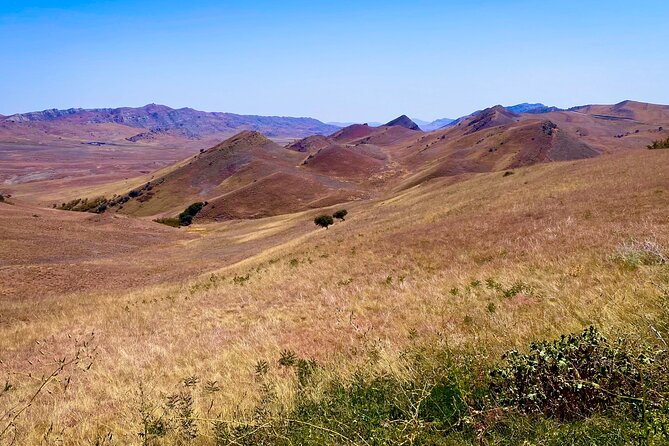 Day Trip to Rainbow Mountains and David Gareja - Comfort, transport, and group size