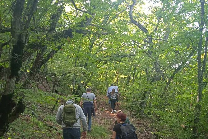 Day Walking Tour/Vashlovani Prot.Area(Eagle Gorge), min 2 persons - A gentle start at the Vashlovani administration in Dedoplistskaro
