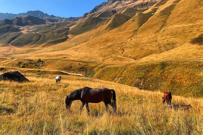 From Tbilisi: Kazbegi Ananuri Gudauri and Trusso Valley by 4x4 - Leaving Tbilisi and reaching the first mountain views