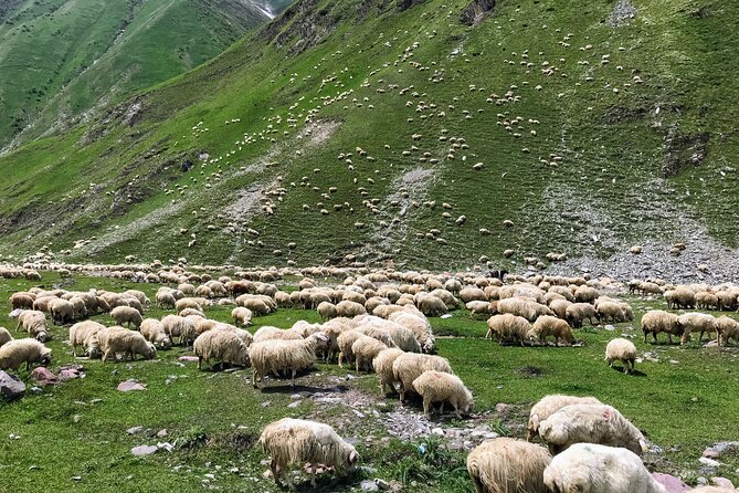 From Tbilisi: Kazbegi Ananuri Gudauri and Trusso Valley by 4x4 - What the 4x4 ride is really like