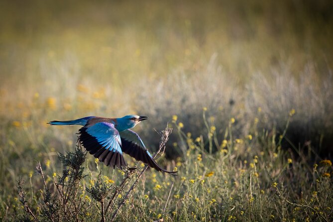 Full-Day Private Wilderness Tour in Vashlovani National Park - The 1.5-hour approach is part of the tour