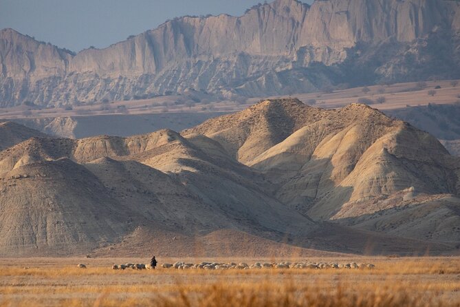 Full-Day Private Wilderness Tour in Vashlovani National Park - Echo viewpoint gives you the big picture