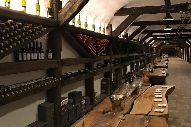 Full Day Private Wine Tour in Kakheti Region with Lunch and 3 Wine Tastings - Khareba shows the industrial side of Georgian wine