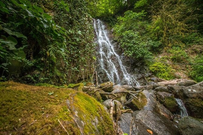 Full Day Tour from Batumi to Waterfalls - Adjarian Wine House and the extra-cost stop