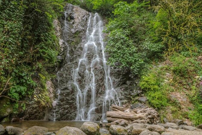 Full Day Tour from Batumi to Waterfalls - Private transport, timing, and the human side of the tour