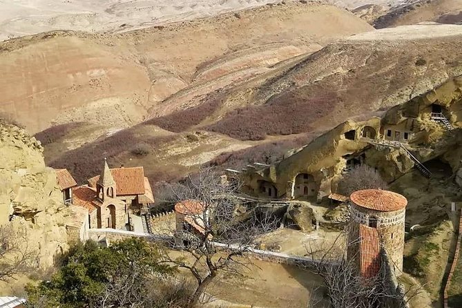 Full day tour to Kakheti: David Gareja and Signagi Town - Private transport and group value
