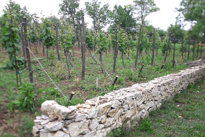 Gelati, Prometheus, Sanatoriums and Wine tour - How the day feels in practice