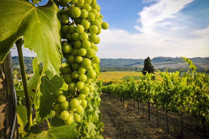 Grand tour to Kakheti for wine lovers: Telavi-Kvareli-Sighnaghi - Telavi and the Batonis-Tsikhe Fortress