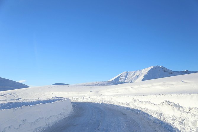 Gudauri Ski Resort day tour from Tbilisi - Three hours at Gudauri Ski Resort