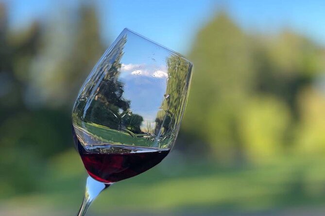 Kakheti.All inclusive Wine tour with family lunch - Shumi Winery and the story of Georgian wine