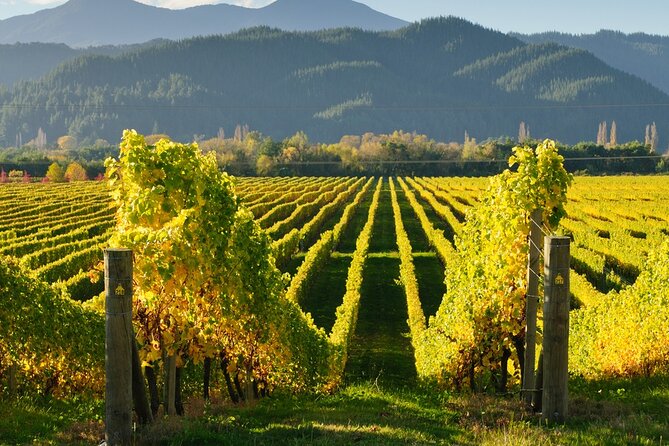 Kakheti: Bodbe, Sighnaghi, Telavi Wine Tour from Tbilisi - The Sighnaghi Museum is brief and optional