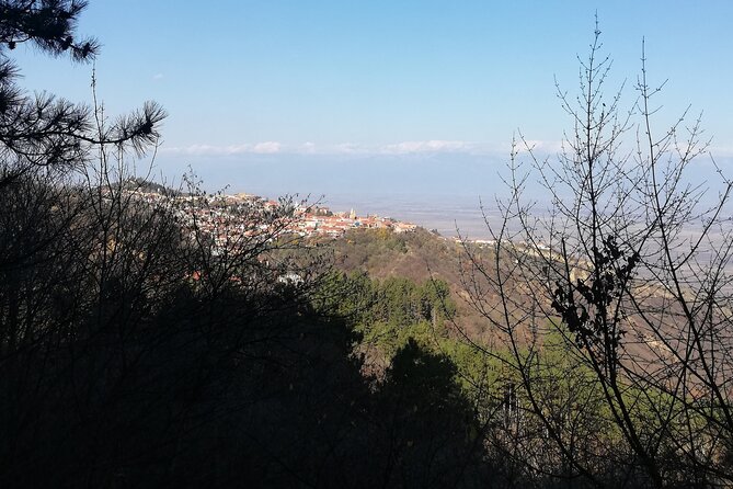 Kakheti Full Day Private Tour - Who will get the most from this tour