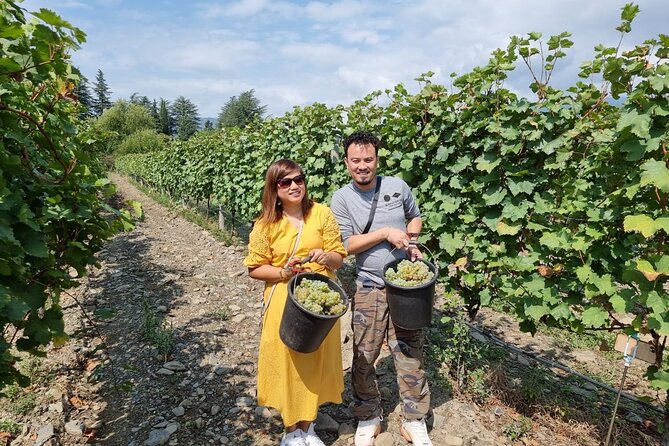 Kakheti - Small wineries and family-cooked lunch • Private tour - Bodbe Monastery closes the route quietly