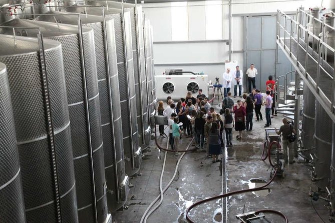 Kakheti Wine & Sighnaghi Private Tour from Tbilisi - Why this Kakheti day trip works