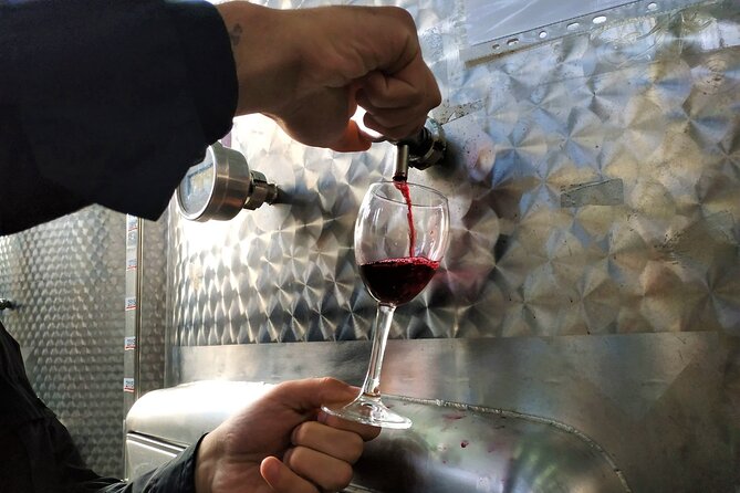 Kakheti Wine Tour with 20+ Wine Tastings & Qvevri Masterclass - Price, private transport, and the value of the day