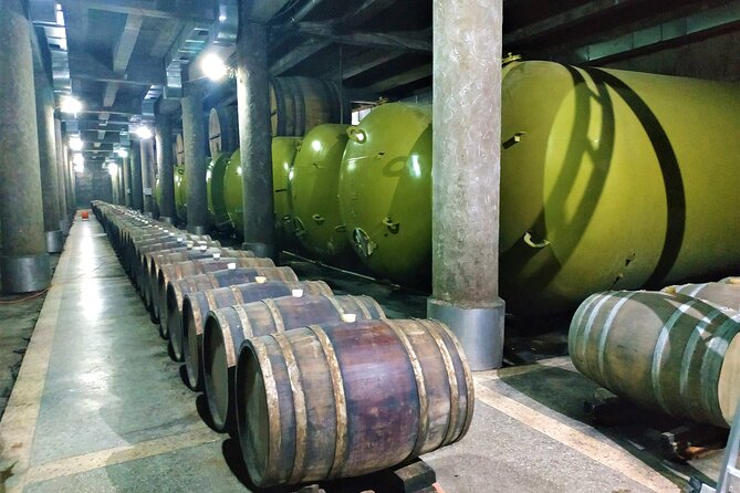 Kakheti Wine Tour with 20+ Wine Tastings & Qvevri Masterclass - Who should book this Kakheti wine trip