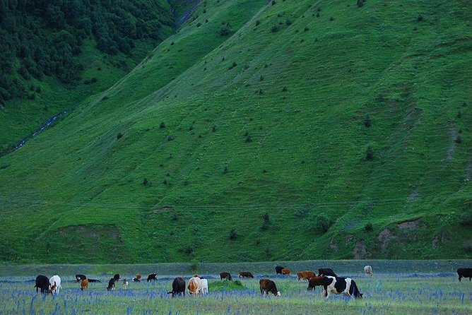 Kazbegi Adventure - Private Day Trip From Tbilisi with a Dinner + Masterclass - Ananuri Fortress and its Aragvistavi past