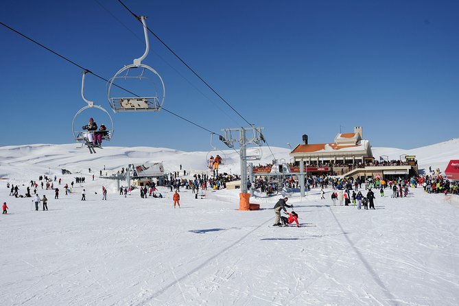 Kazbegi, Gergeti and Ananuri Full Day Tour from Tbilisi - Who will enjoy this day most