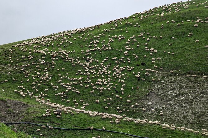 Kazbegi & Gudauri Private Full-Day Tour From Tbilisi - The meeting rivers and the road north