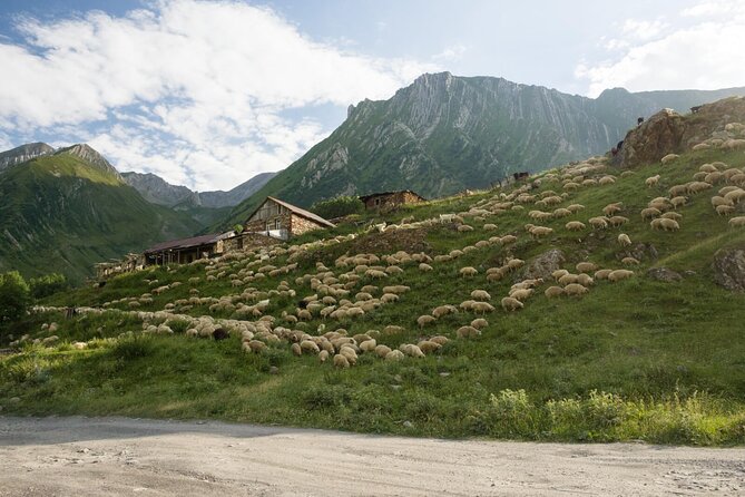 Kazbegi - One Day Private Trekking Tour to Truso Valley - Zakagori Fortress near the Russian border