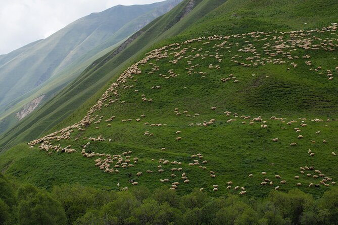 Kazbegi - One Day Private Trekking Tour to Truso Valley - What the private format is worth